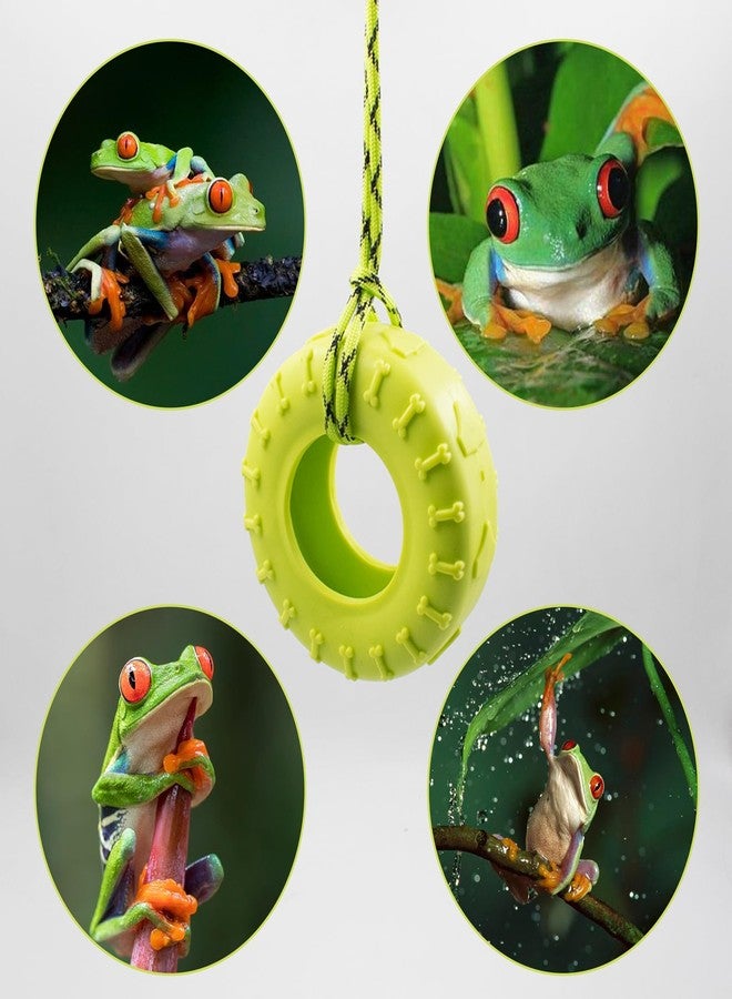 JINGHANGER 2 PCS Tree Frog Toy Tire Swing Habitat Miniature with 2 Suction Cup Hook Frog Tank Accessories Terrarium Decor Climbing Swing Reptile Amphibian Crustacean Climbing Toy - Image 2